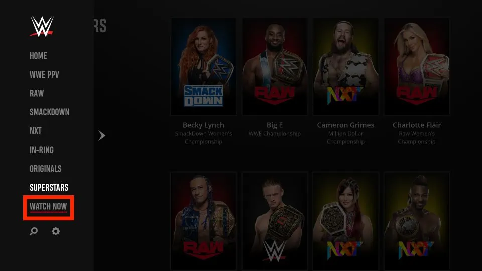 watch now section