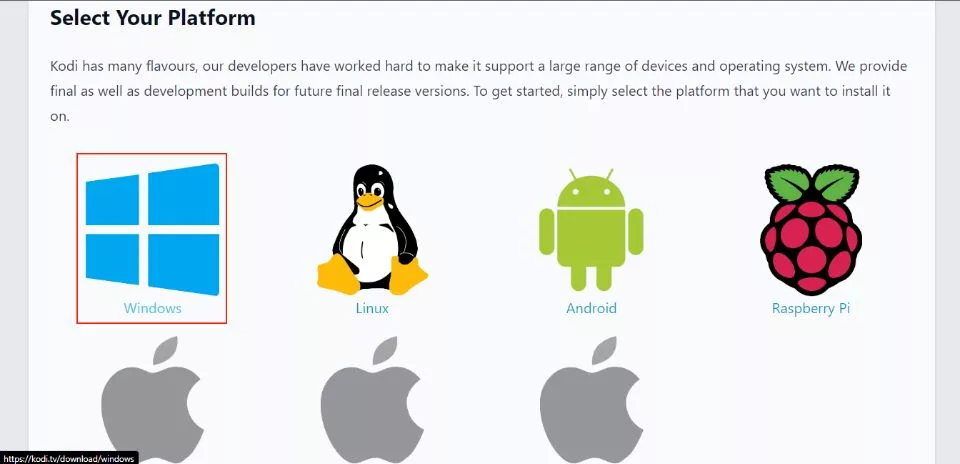 select the windows version